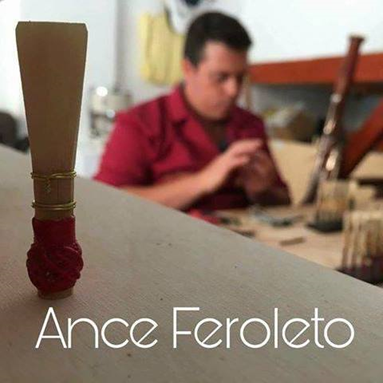 Laboratorio Ance Feroleto